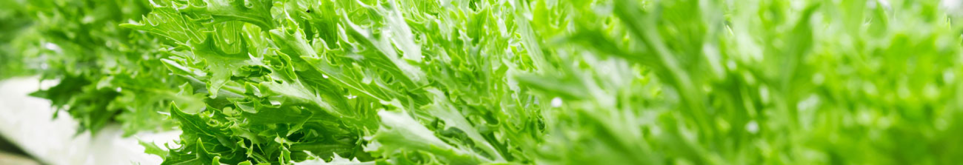 Chúng tôi có sản phẩm bạn đang tìm kiếm